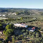 Dreaming Penthouse * Vieste