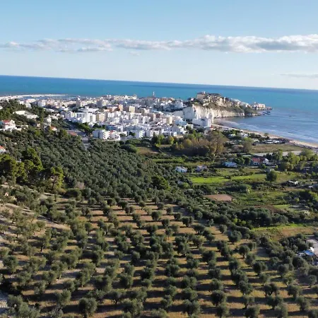 Dreaming Penthouse Apartment Vieste