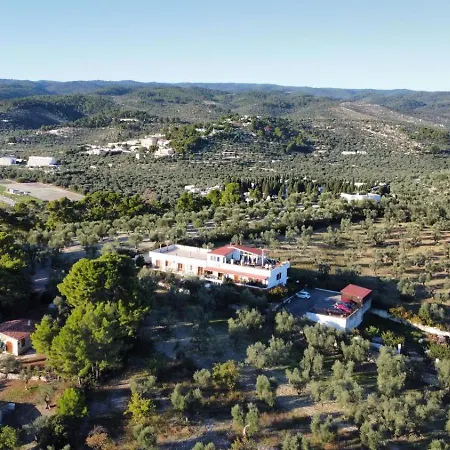 Dreaming Penthouse * Вьесте