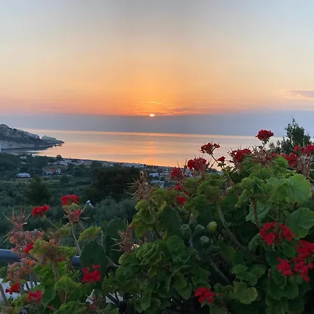 Dreaming Penthouse *